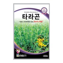 모칸도 세계 허브씨앗 타라곤 2000립