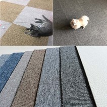 데코쿡 반려동물카페트 애견카페트 애견매트, 아이보리