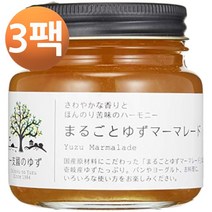 기시 농협 유자 마멀레이드 170g, 3팩