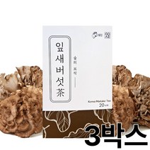잎새버섯 티백차 20티백 3박스