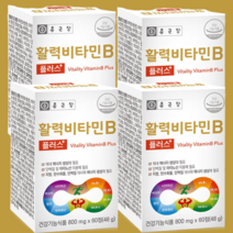 종근당 활력 비타민B 플러스 60정 4박스 활성형 약국, 60정 x 2박스