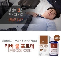 간수치 높을때 업무 피로할때 회식 음주 잦을때 술병났을때 간 건강 해독 관리 유지 개선 에 좋은 영양제 liver care vitamin, 6BOX(1년분), 1g, 6개