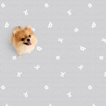 파크론 펫노리터 냄새케어 논슬립애견매트 개린이유치원100 애견매트, 개린이유치원