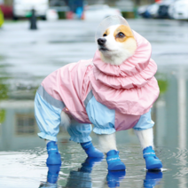 강아지 라바 올인원 우비 레인코트