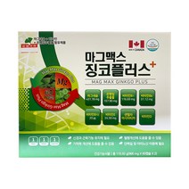 마그맥스 징코플러스 966mg x 60캡슐 x 2