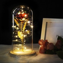 화병 도자기 유리 돌 6색 아름다움과 야수는 유리 돔에 발렌타인 선물 LED 로즈 램프 크리스마스, 02 multiplecolor