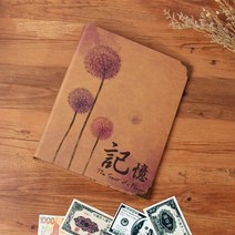 지폐 동전 수집 앨범 주화 대용량 취미 키덜트 240장 가능, 지폐수납 40장 + 동전수납 5장, D