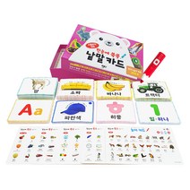 한눈에 쏙쏙 낱말카드 전205종 플래시카드 세트 한글 영어 숫자