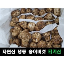 핫한 국내산능이버섯 인기 순위 TOP100 제품을 소개합니다