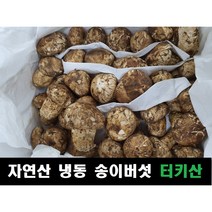 송이버섯 자연산 냉동 터키산, 4등급(20송이내외, 모양크기랜덤), 500g