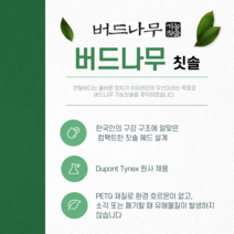 치과전용 버드나무 칫솔 교정모, 1개