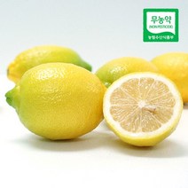 상큼한 국내산 제주 무농약 레몬 3kg, 없음