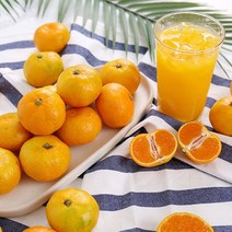 새콤달콤 돌담 가정용 하우스감귤 1kg 대과 7-9과(L-2L), 단품