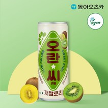 오란씨 키위 250ml 30입 1박스