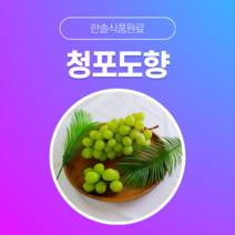 [한솔식품원료] 청포도향 (Greengrape Flavor) (액상 Type) [30g/50g/100g/1kg/5kg/10kg], 100g