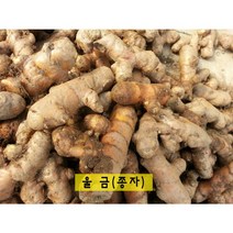 굵고 싱싱한 울금 종자 생울금 10kg, 소10kg