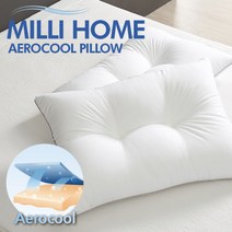 밀리홈 에어로쿨 경추베개솜 (1+1), 단품