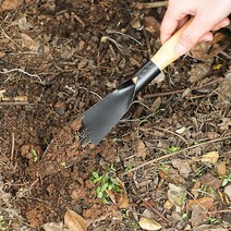 DP 묘종삽 분갈이삽 캠핑, 끝삽