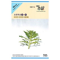 권별주삶 요한복음 상+하 세트:요산복음 상.하 90일 묵상, 아가페출판사, 권별주삶 요한복음 상+하 세트, 주삶편집위원회(저),아가페출판사