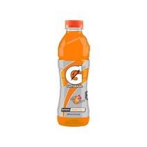 게토레이 이온음료 오렌지 600ml x 12펫 음료수