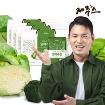 제주스 제주 유기농 양배추즙, 120개, 80ml