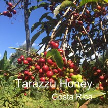 [위트러스트] 코스타리카 따라수허니 200g Costa Rica 스페셜티 커피, 핸드드립