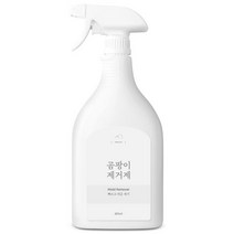 파인플레이스 곰팡이제거제 빠르고 쉬운제거, 800ml x 1개