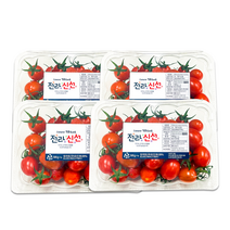 [전라신선] 전라도 60개 농가 최상급 고당도 스테비아 토마토 2kg
