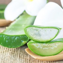 두리농산 알로에겔 베라250 오리지널 1000mlx3병+1병(총4병), 상세 설명 참조, 단일옵션