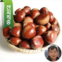 [산지직송]GAP인증 충남 부여 달하산농장 알밤, 특대2kg