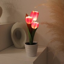아트박스/비아케이스튜디오 후르츠 레드체리 튤립 LED 무드등