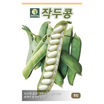 작두콩 씨앗 5립 다농