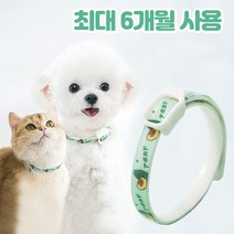 반려사이 강아지 진드기 퇴치제 목걸이 6개월 지속 고양이, M (20kg 까지 착용 가능)
