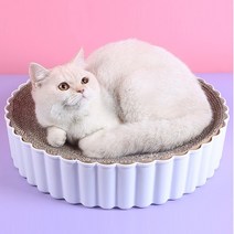 부투펫 고양이 스크래쳐 원형 둥지 침대 소파 캣모나이트 냥모나이트 타르트, 대형, 핑크