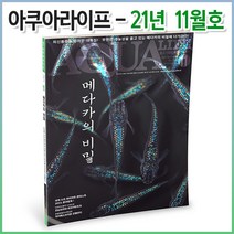 [자연과 사람] 아쿠아라이프 2015년 11월호 (지금 키우고싶은 열대어)