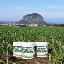 자연밭담 제주 에어분쇄 새싹보리 분말 저온건조, 170g, 1개