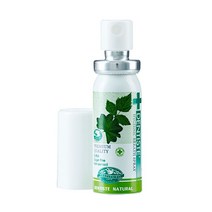 덴티스테 후레쉬 브레스 스프레이 15ml 4개 마우스워시
