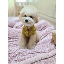 [대바늘 DIY] 강아지 탑다운 가디건 만들기 / 동영상 패키지 / 강아지옷, 네이비