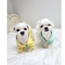 (강아지)짱구 잠시바 봄 여름 가을 잠옷 티셔츠 실내복 외출복, 짱구-옐로우