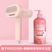 개 헤어 드라이어 애완 동물 송풍기 드라이기 드라이룸 펫 애견 털말리기 건조 고출력 업소용, J