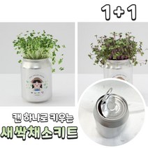 무순 키우기 세트 1인용 한컵 새싹 미니 그릇 소형 키트 봄 새싹 씨앗 브로콜리 청경채 적양배추 재배 세트 반려 식물 5종, 브로콜리 캔 1개