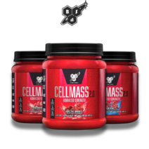 신타6 셀매스 헬스부스터 셀메스 크레아틴 운동보조제 495g, 아틱베리