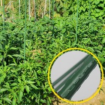초록색 화초 지지대 화분 넝쿨 식물 과수 하우스 꽃 토마토 고추 수목 키우기 철 받침대 60센치