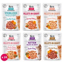 친절한도그씨 브릿 케어캣 85g 24개 헬스케어 기능성 주식파우치, 06. 키튼, 06. 키튼