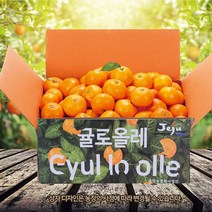 올탑농원 23년 고당도 제주 햇하우스감귤 1.5kg/2.5kg/4.5kg/8kg 가정용, 4.5kg(꼬마소과), 1개
