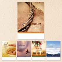 예닮 주보 절기주보 5종 A4 교회주보 칼라 팬시 기성주보 디자인주보 예배순서지 복사용지 감사노트 헌금봉투 예배용품 주보제작, 2세트