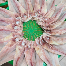 반건조 옥돔 10마리 중 (230g~260g이내) 옥두어 제주도 동문시장 한일농수산 3월한정이벤트 100%착즙쥬스 천혜향 or 한라봉쥬스 1병 증정, 반건조옥돔 (230g~260g이내) 10마리