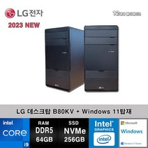 LG전자 데스크탑 12세대 I9 컴퓨터 B80KV-AR29S2X+WIN11 (I9-12900/64GB/SSD256GB/UHD770/WIN11)
