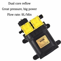 전기 양수기 소형 미니 가정용 양수 dc 12v 125psi 9lmin 농업용 워터 물, 12v 역류