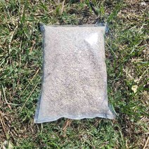 감성돔 집어제 통영 굴껍데기 2kg 고비중 밑밥